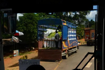 DSC_9690 (Large).JPG